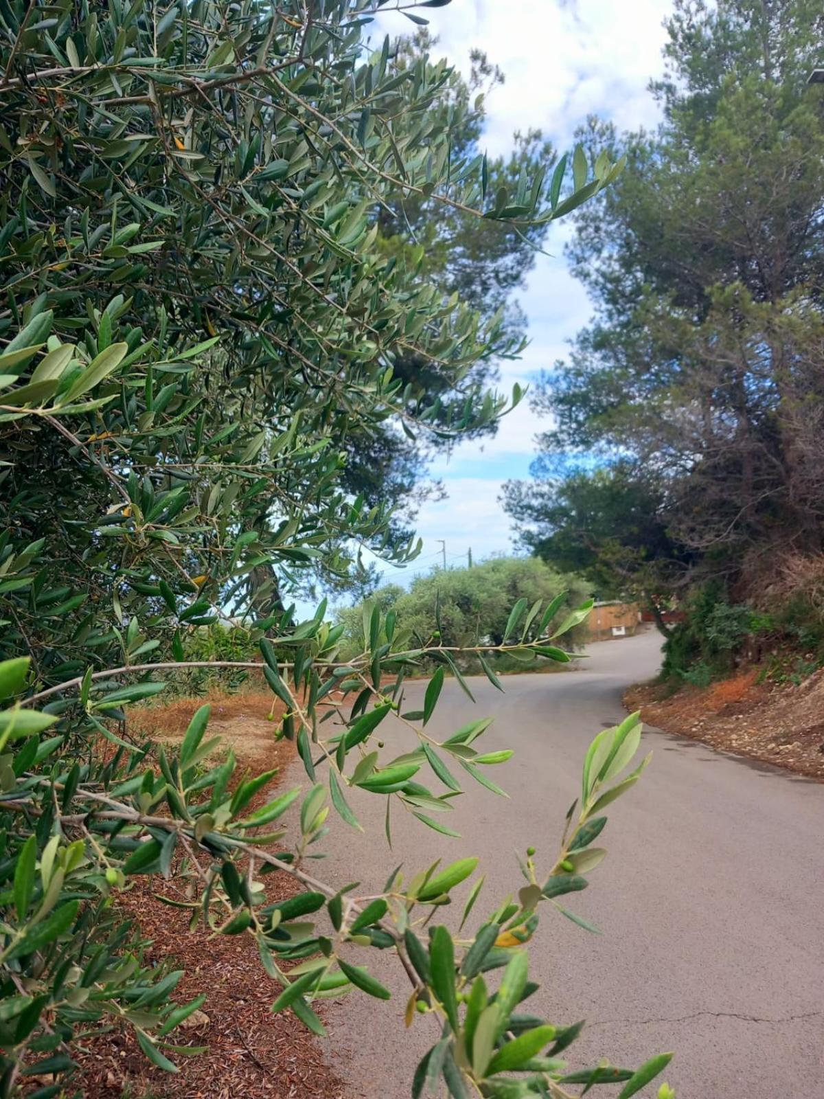 Dolci Risvegli Appartamento Vista Mare 文蒂米利亚 外观 照片